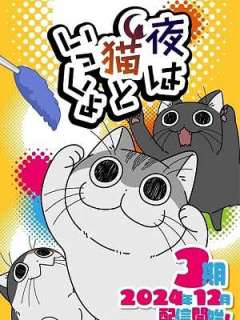 밤은 고양이와 함께 (2024)